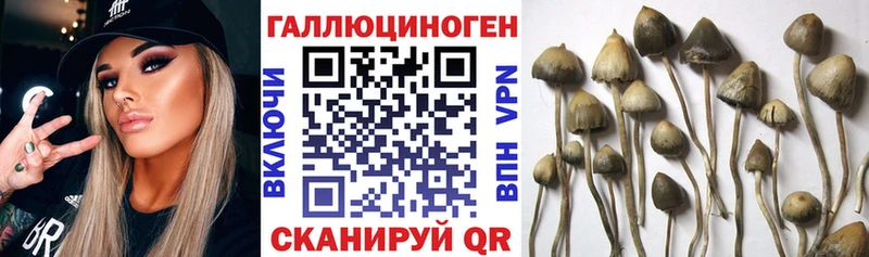 Псилоцибиновые грибы Magic Shrooms  где продают   Шахты 