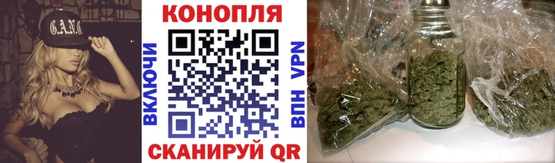 Канабис план  закладки  Шахты 
